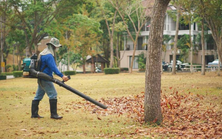 3 Popular Leaf Blowers to Choose From