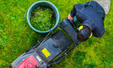 3 popular lawn equipment tools from Stihl