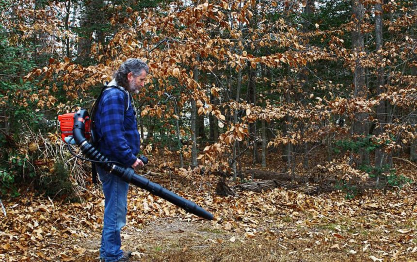 3 popular leaf blowers to clean up your yard with ease