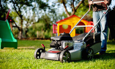4 tips for buying a lawn mower from a sale