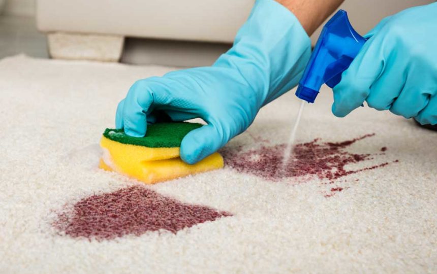 5 Popular Carpet Stain Removers to Choose From