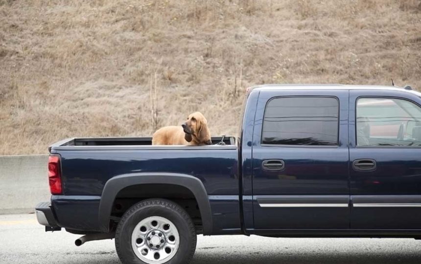 5 Top-Rated Truck Bed Covers to Choose From