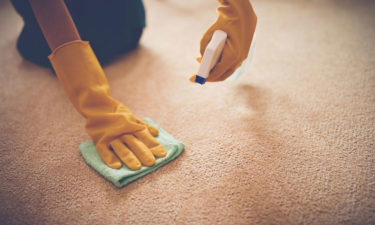 5 benefits of carpet cleaning services 