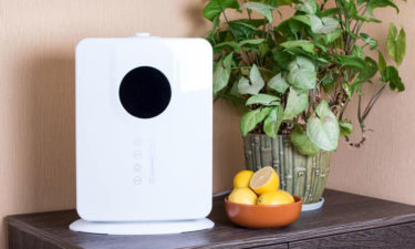 5 best home air purifiers