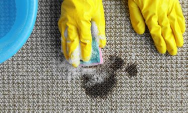 6 easy ideas for best carpet stain removers