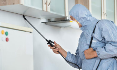 6 factors to consider before selecting a pest control company