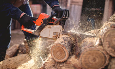 All You Need to Know When You Buy Chainsaws