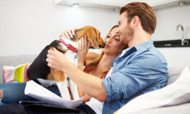 Benefits of availing a pet insurance