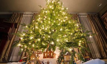 Best Deals on Prelit Christmas Trees