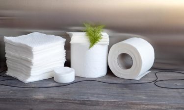 Best paper towel wholesale shops