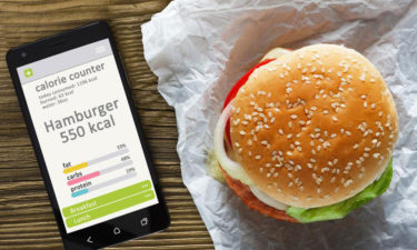Everything you need to know about calorie intake
