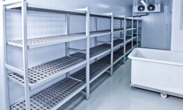 Evolution of Food Storage from Ice Men to Freezers