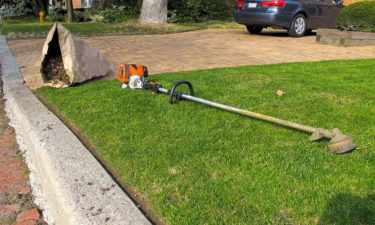 Factors to consider before buying a weed trimmer