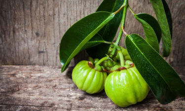 Garcinia cambogia – Know what you consume