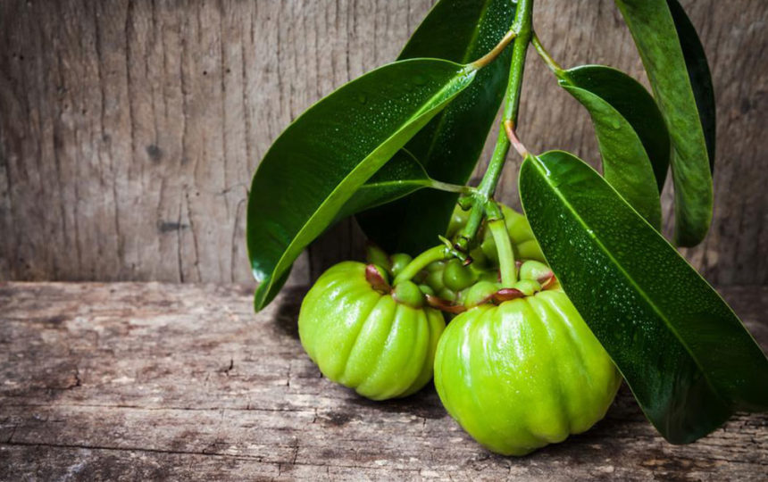 Garcinia cambogia – Know what you consume
