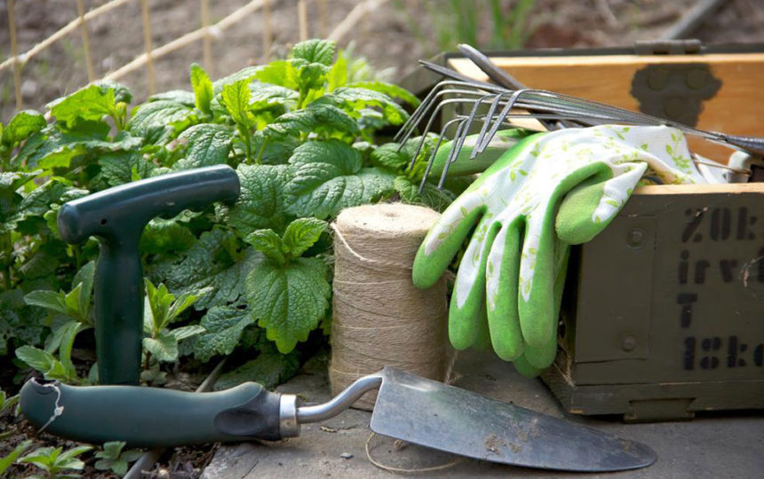 Garden Tools for Gorgeous Outdoors