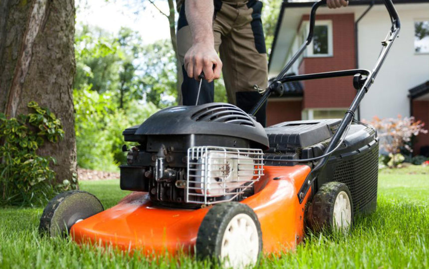 Get the perfect lawn with the bestselling mowers