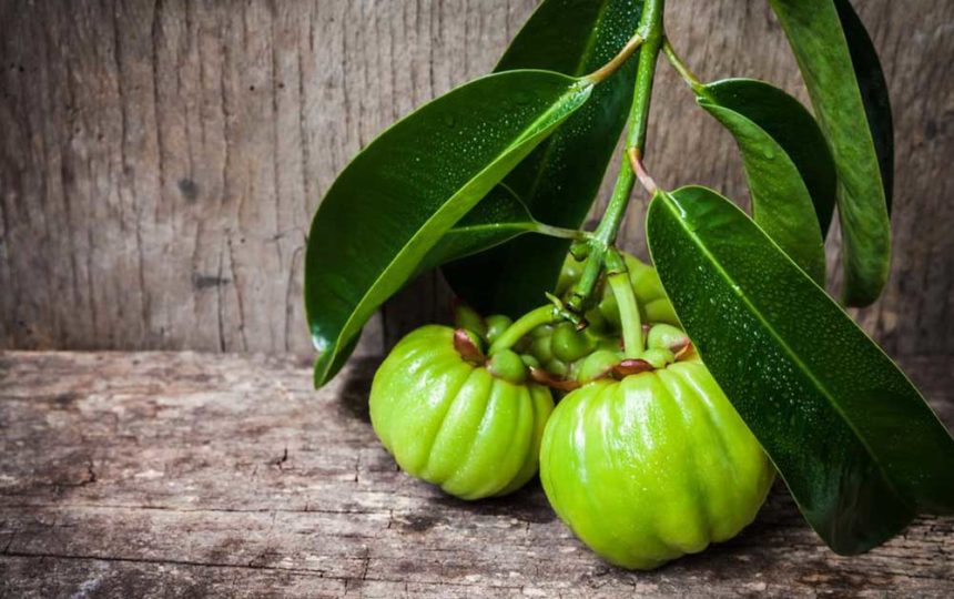 Getting a Closer Look at the Garcinia Cambogia Side Effects