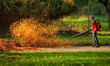 Guide to Choosing the Right Gas Leaf Blower
