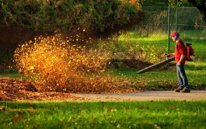 Guide to Choosing the Right Gas Leaf Blower