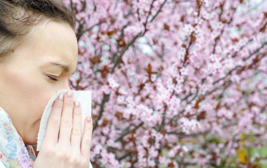Here are some popular home remedies for Pollen Allergy