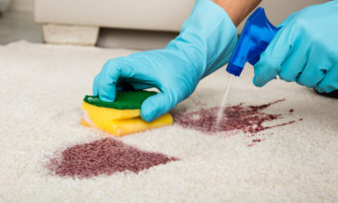 How Do You Choose The Best Carpet Stain Removers