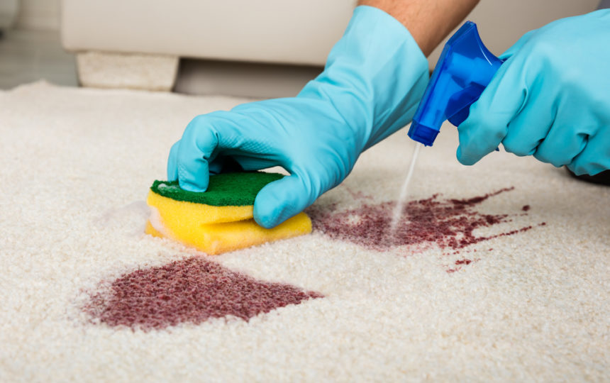 How Do You Choose The Best Carpet Stain Removers