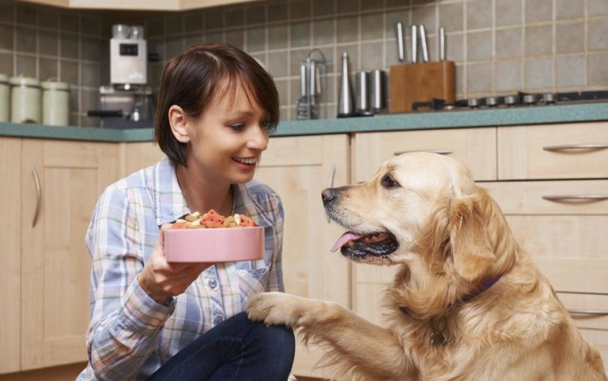 How To Treat Food Allergy Problems Of Dogs