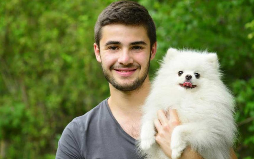 How to Train Your Pomeranian Puppies