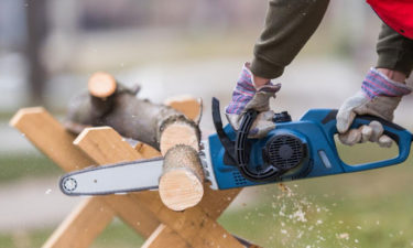 How to choose a chainsaw for your garden