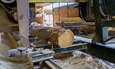 How to choose a portable sawmill?