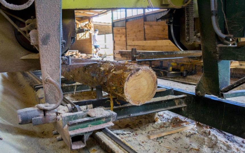How to choose a portable sawmill?