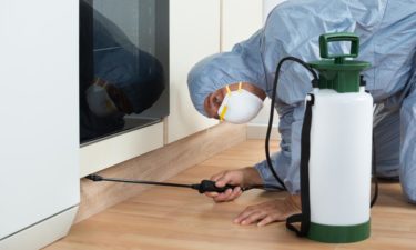 How to prevent bedbug infestation with sprays