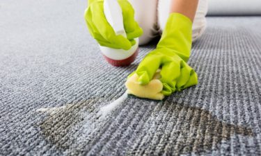 How to remove coffee stains, pet mess, and ink stains from your carpet
