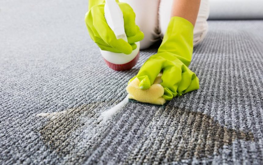 How to remove coffee stains, pet mess, and ink stains from your carpet