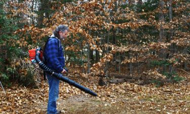 How to spot the best leaf blowers?