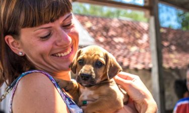 Important Factors to Consider Before Adopting Puppies