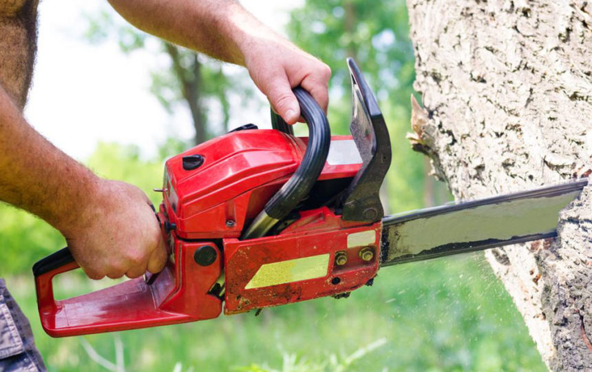 Introduction to chainsaws and STIHL chainsaws
