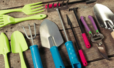 Keep your garden weed-free and clean with right garden tools