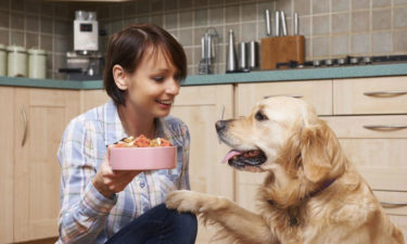 Keep your senior dog healthy with these fortified senior dog foods