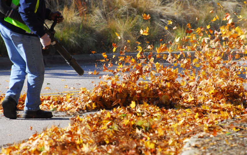 List Of The Best Leaf Blowers In The Market