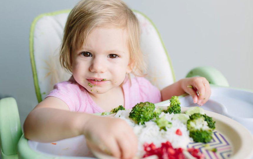Lunch recipes that your toddlers will love