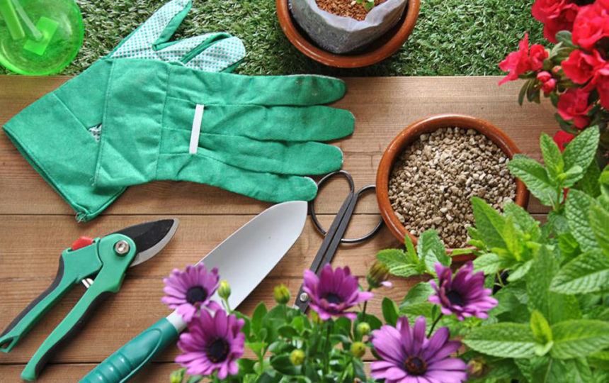 Make your gardening easy and effortless using the right garden tools