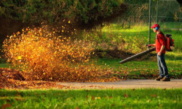Planning on buying a leaf blower? Here’s what you need to know