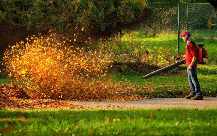 Planning on buying a leaf blower? Here’s what you need to know