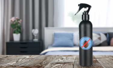 Popular Bed Bug Sprays to Choose From