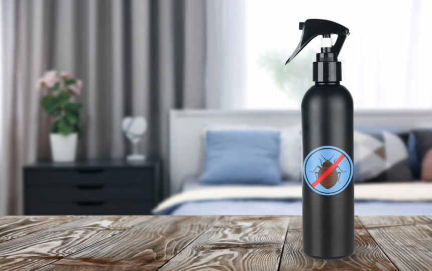 Popular Bed Bug Sprays to Choose From