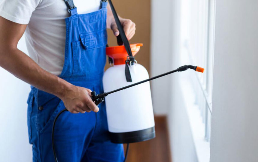 Popular pest control services in the country