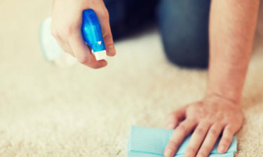 Popular stain and odor removal brands and products