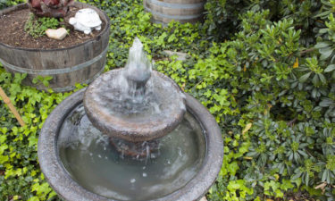 Popular types of water fountains you should know about